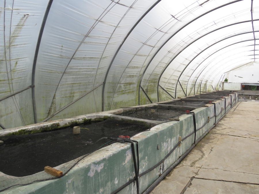 3 Bedroom Property for Sale in Bathurst Eastern Cape